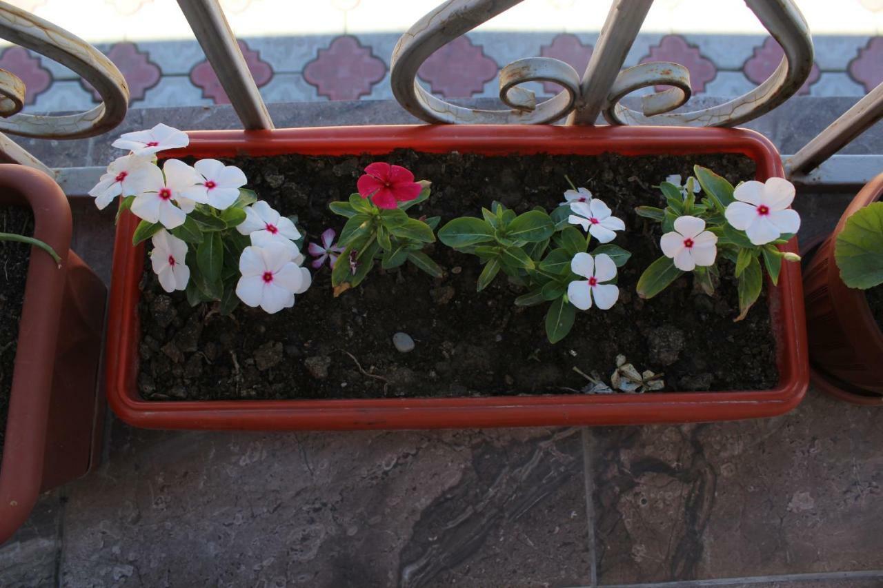 Guest House Etnodom Jalal-Abad 외부 사진
